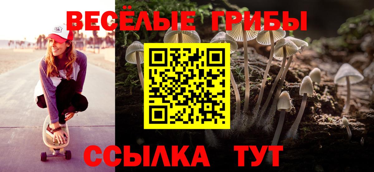 Псилоцибиновые грибы GOLDEN TEACHER  как найти   Кимовск  Галлюциногенные грибы Psilocybine cubensis  Вход с VPN 