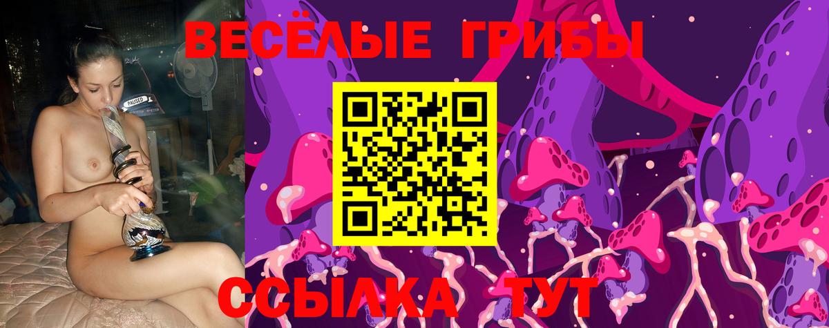 Псилоцибиновые грибы мицелий Кимовск